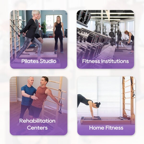 3-in-1 Pilates Align Core System – Spine Alignment, Flexibility ...